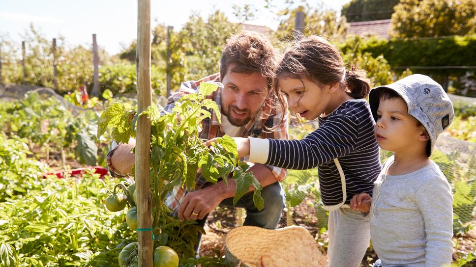 Family gardening