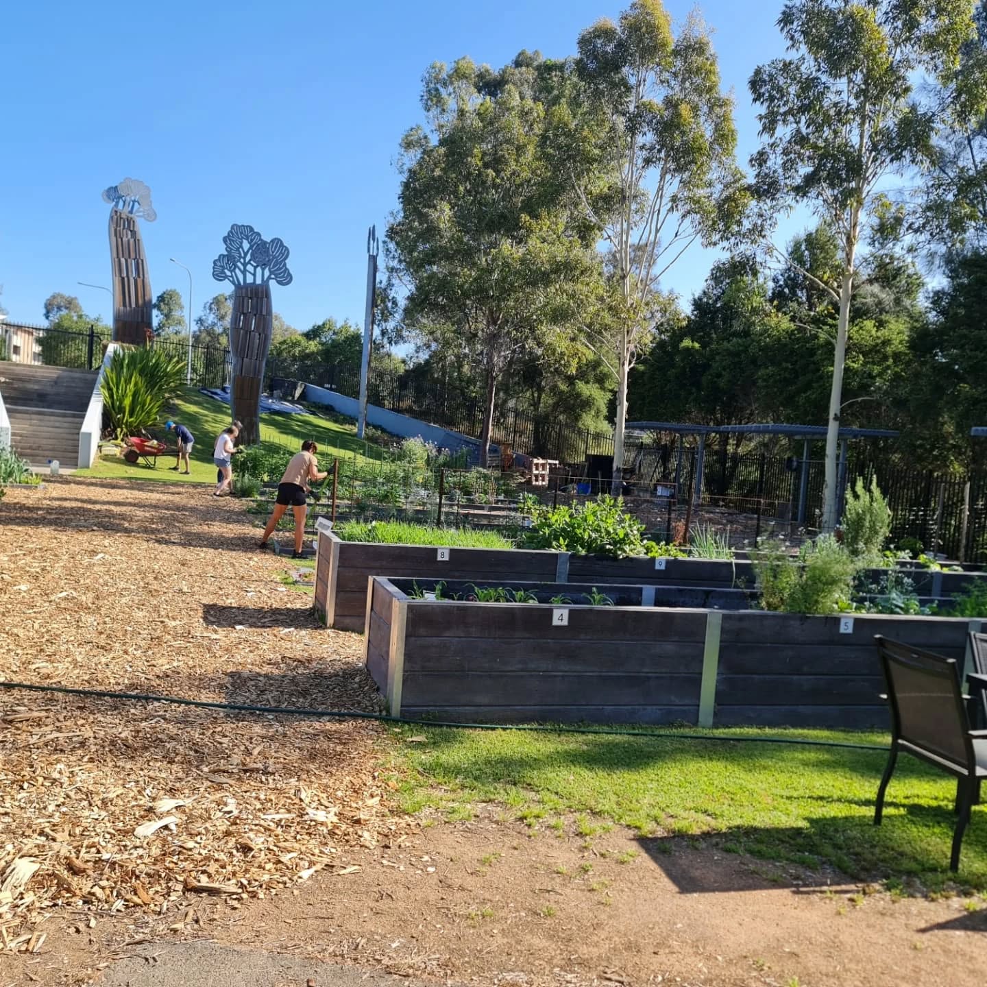 Community garden overview