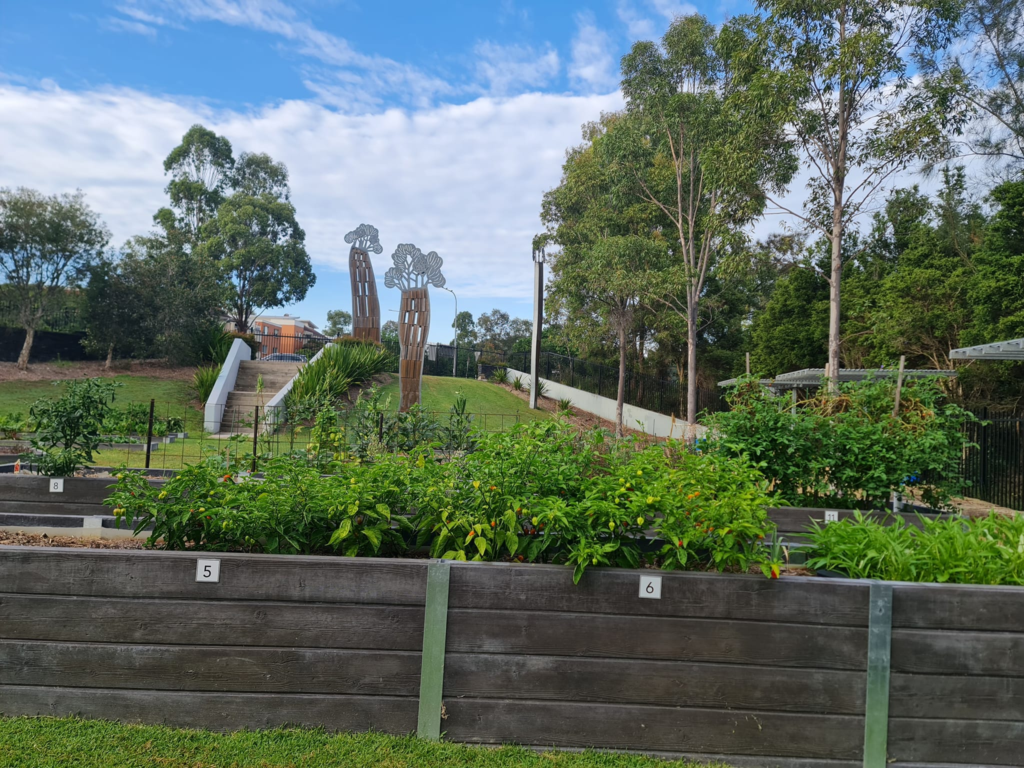 Garden plots in suburban community garden